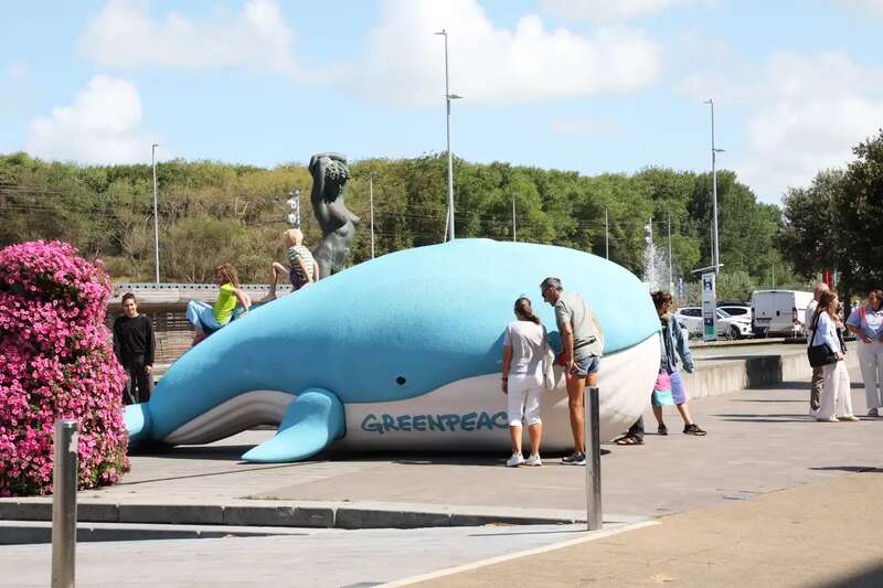 Walvis Greenpeace Duinenplein 021